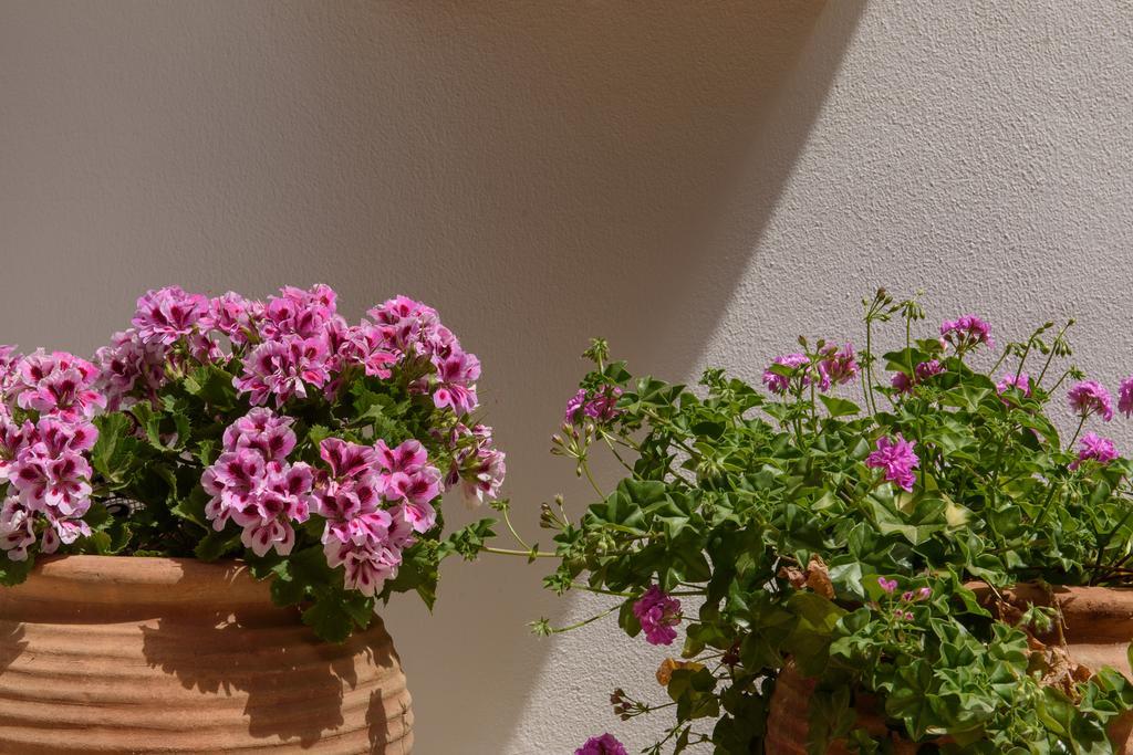 Aparthotel Nikos 3*